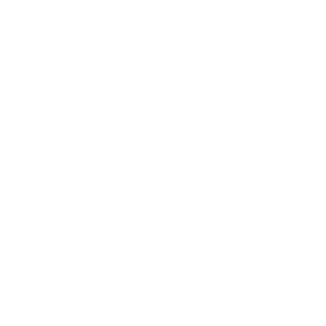 White Google Logo