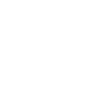 White Rolex Logo