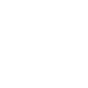 White Sony Logo